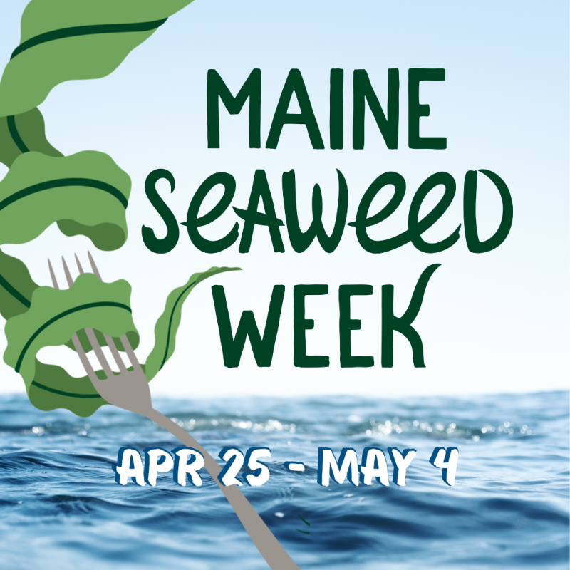 Maine Seaweed Week returns to restaurants, panel discussion added at seaweed expo PenBay Pilot